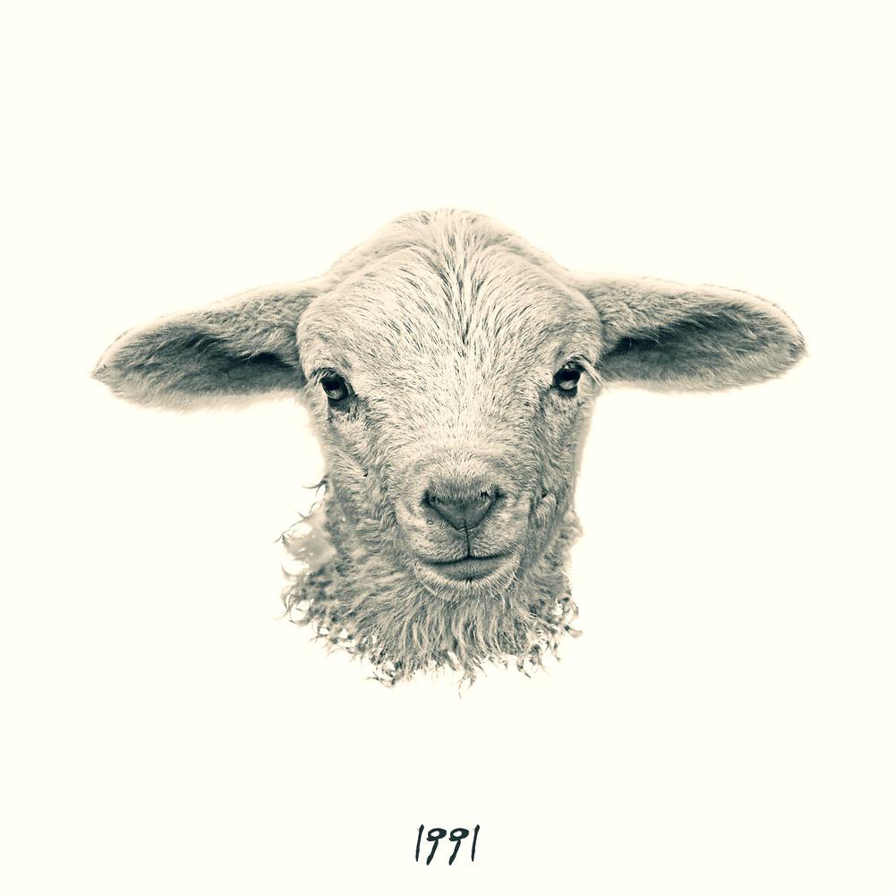 Playlist · 흰바지 · 1991 · 2016.12.26